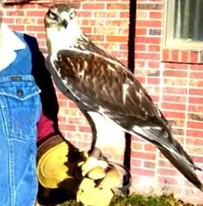 Meet your Posher, Terry